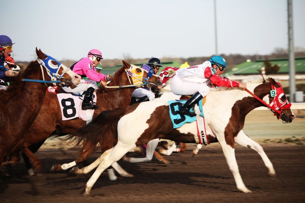 horses, horse racing, racetrack-2523301.jpg